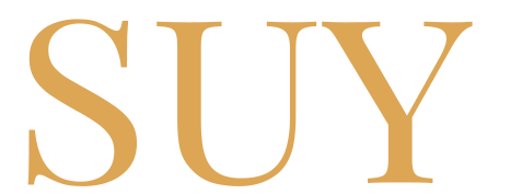 Logotipo SUY Solo